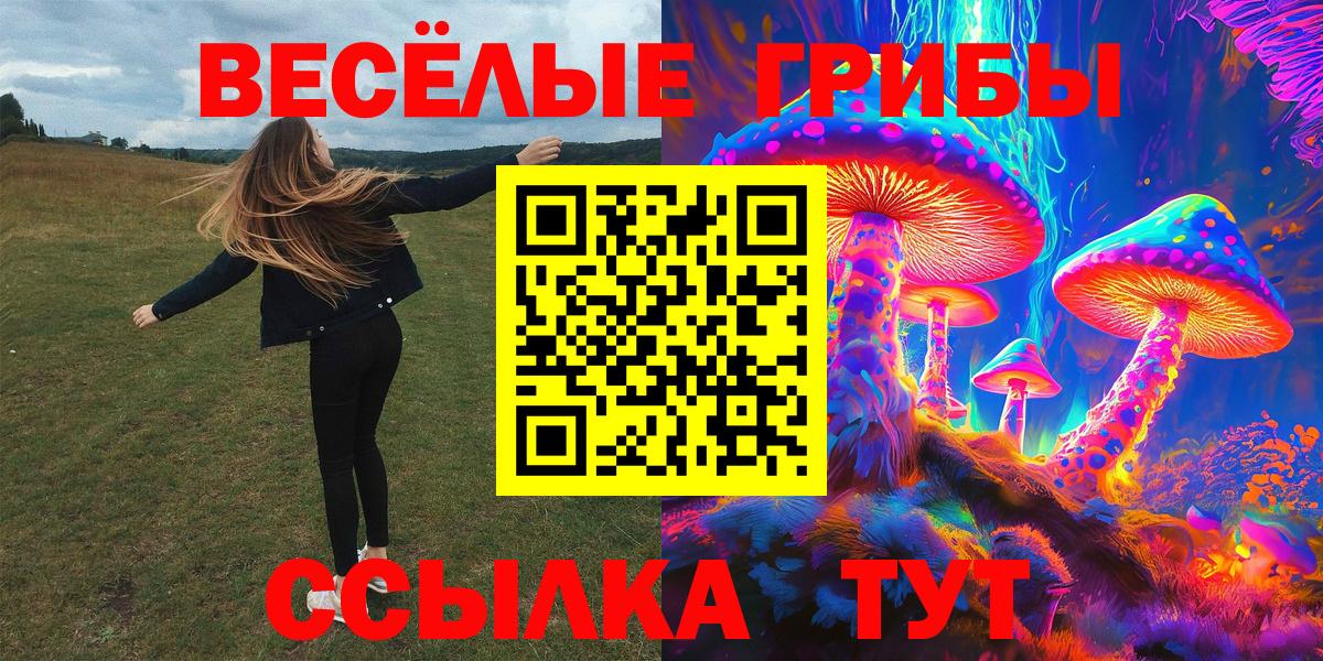 Псилоцибиновые грибы Cubensis  Вход с VPN  Светлоград  Галлюциногенные грибы мицелий 