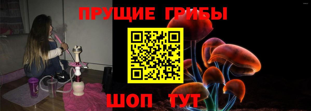 Псилоцибиновые грибы Psilocybe Светлоград